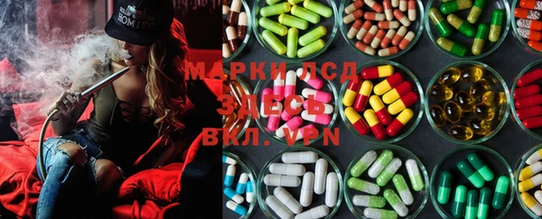 PSILOCYBIN Армянск