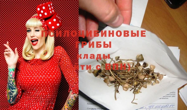 крисы Аркадак
