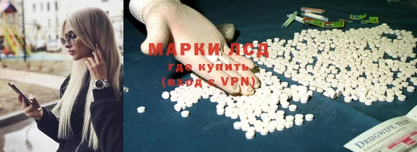 крисы Аркадак