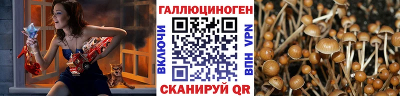OMG зеркало Ясный Галлюциногенные грибы MAGIC MUSHROOMS